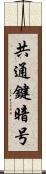 共通鍵暗号 Scroll