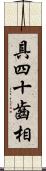 具四十齒相 Scroll
