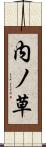 内ノ草 Scroll