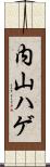 内山ハゲ Scroll