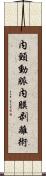 内頸動脈内膜剥離術 Scroll