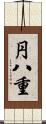 円八重 Scroll