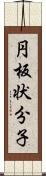 円板状分子 Scroll