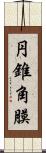 円錐角膜 Scroll