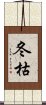 冬枯 Scroll