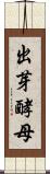 出芽酵母 Scroll