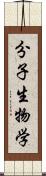 分子生物学 Scroll