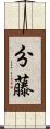 分藤 Scroll