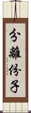 分離份子 Scroll