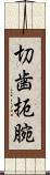 切歯扼腕 Scroll