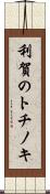 利賀のトチノキ Scroll