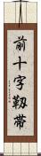 前十字靱帯 Scroll
