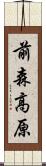 前森高原 Scroll