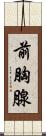 前胸腺 Scroll