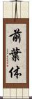 前葉体 Scroll