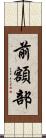 前額部 Scroll