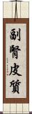 副腎皮質 Scroll