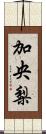 加央梨 Scroll