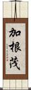 加根茂 Scroll