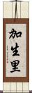 加生里 Scroll