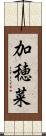 加穂菜 Scroll