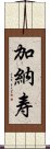 加納寿 Scroll