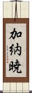 加納暁 Scroll