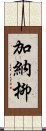 加納柳 Scroll