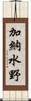 加納水野 Scroll