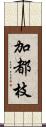 加都枝 Scroll