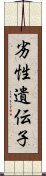 劣性遺伝子 Scroll