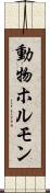 動物ホルモン Scroll