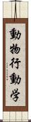動物行動学 Scroll