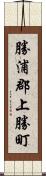 勝浦郡上勝町 Scroll