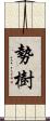 勢樹 Scroll