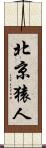 北京猿人 Scroll