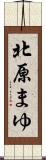 北原まゆ Scroll