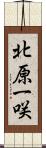 北原一咲 Scroll