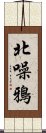 北噪鴉 Scroll