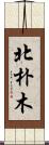 北朴木 Scroll