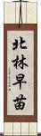 北林早苗 Scroll