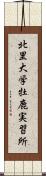 北里大学牡鹿実習所 Scroll