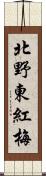 北野東紅梅 Scroll