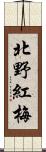 北野紅梅 Scroll
