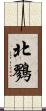 北鷚 Scroll