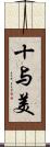 十与美 Scroll