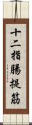 十二指腸提筋 Scroll