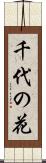 千代の花 Scroll
