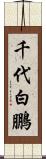 千代白鵬 Scroll