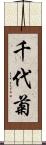 千代菊 Scroll